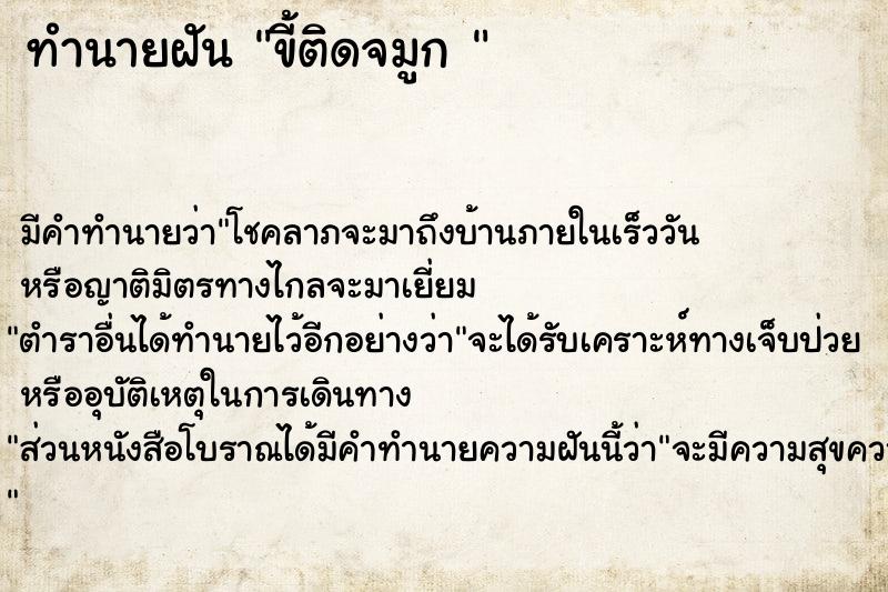 ทำนายฝัน ขี้ติดจมูก 